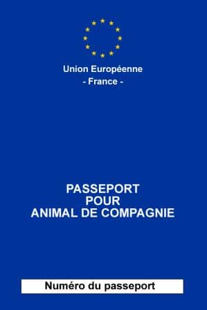 L'identification est un préalable à la délivrance du passeport européen